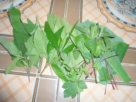 Thực hư chuyện chữa bệnh nan y bằng thần chú ở xứ Mường